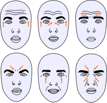 Microexpressions of emotions (in order: surprise, fear/shock, sadness, anger, happiness and disgust) Emotions microexpressions.svg