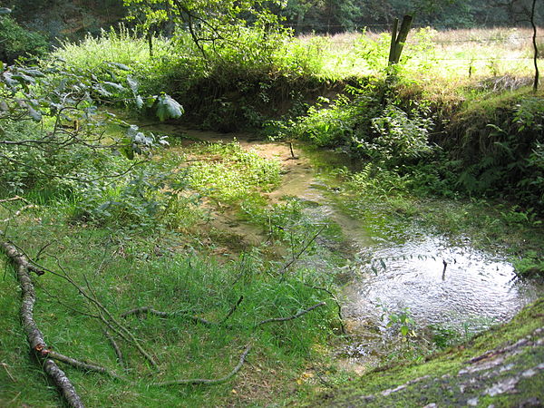 The Ems only a few hundred yards from its spring in Schloß Holte-Stukenbrock