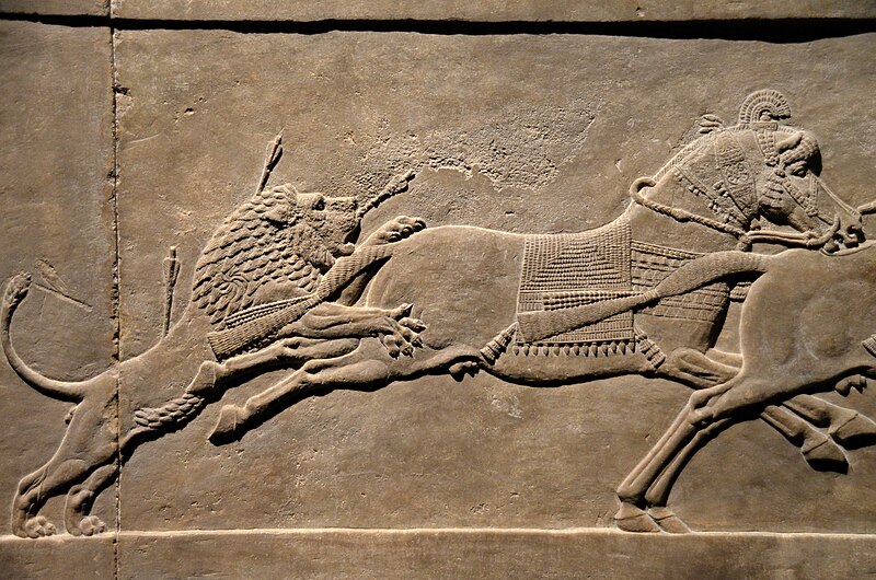 File:Exhibition I am Ashurbanipal king of the world, king of Assyria, British Museum (45923208412).jpg