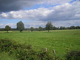 Die Landschaft um Gennetines