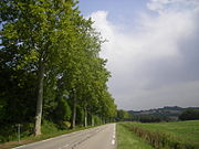 Route de campagne entre Agen et Nérac.