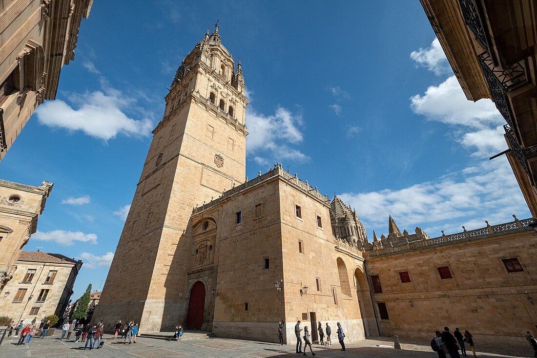 Vieille cathédrale de Salamanque