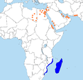 Aire de répartition du Faucon concolore