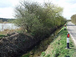 Far Ings road