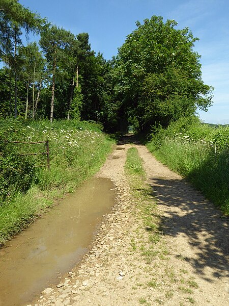 File:Farmland access track - geograph.org.uk - 5458673.jpg