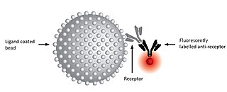 <span class="mw-page-title-main">Kinetic exclusion assay</span>