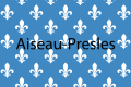 Vlag van Aiseau-Presles