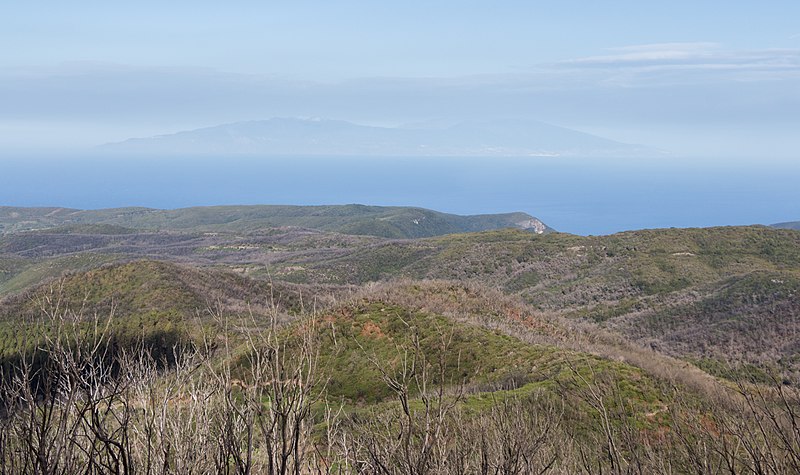 File:Garajonay National Park, La Gomera 04.jpg