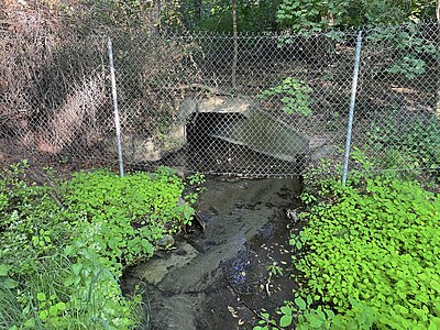 The creek entering the I-90 tunnel