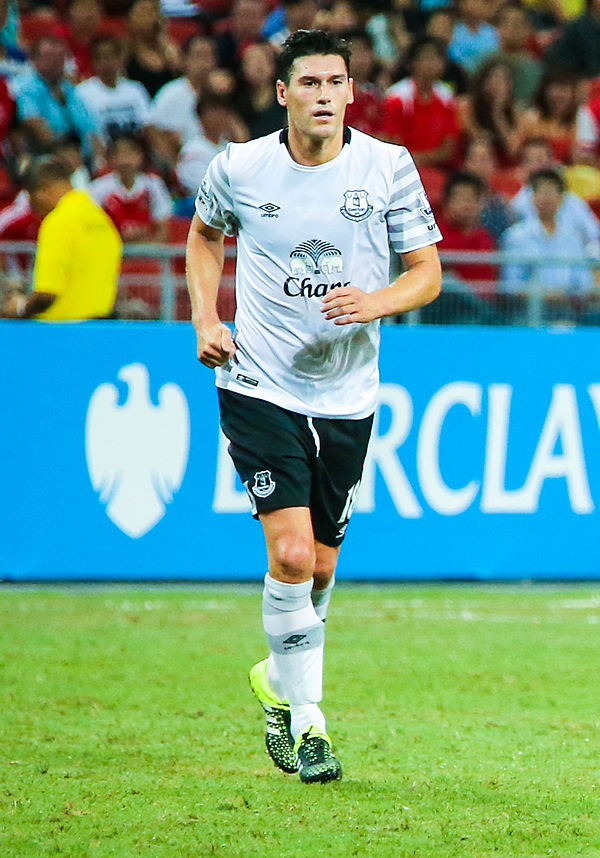 Gareth Barry playing for Everton in 2015