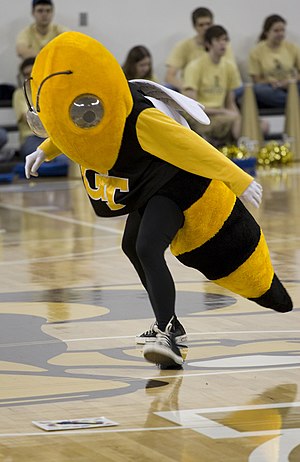 Buzz playing Twister at a basketball game GeorgiaTechBuzz.jpg