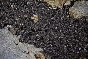 Ghliana Cave Natural Monument