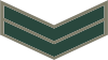 Gilgit−Baltistan Scouts OR-4.svg
