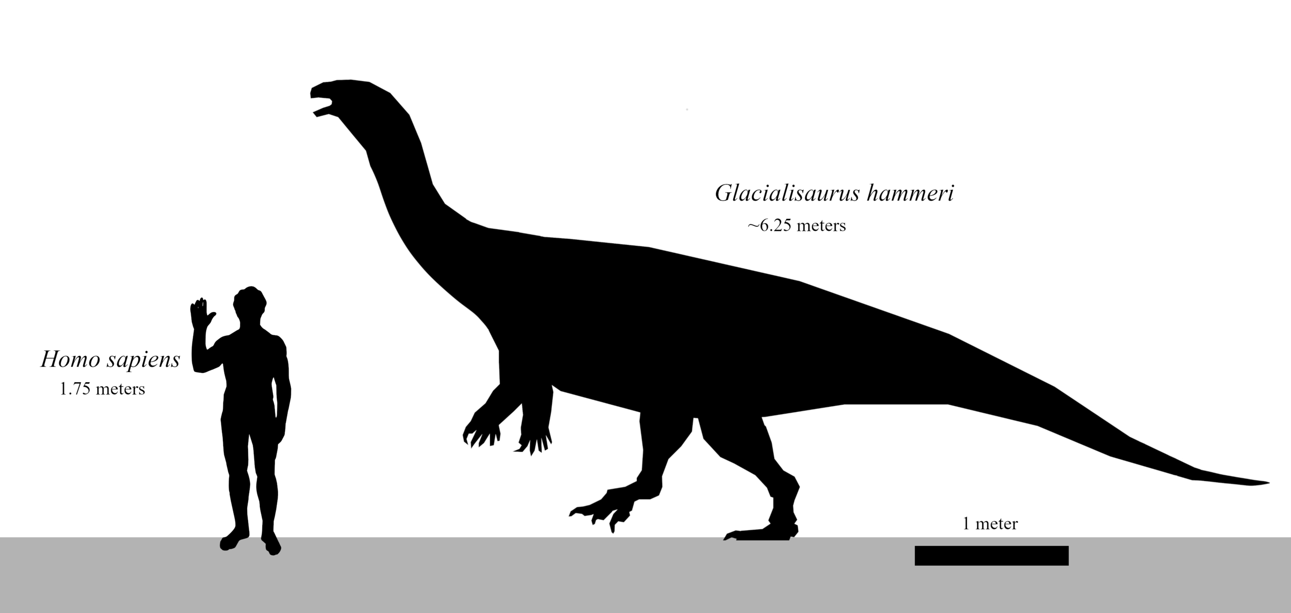 Silhouettes of a human and a dinosaur
