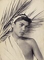 M 0191 B recto. Ragazzo con palma / A youth with a palm leaf. Cm 18x24.