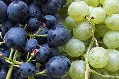 Grapes, Rostov-on-Don, Russia.jpg