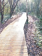 Grove Park Nature Reserve wooden path 01.jpg