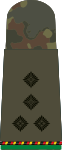 StHptm d.R. (Mech. infantry res.)