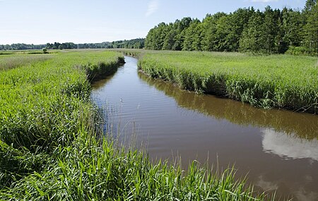 Hemskilen medium2 Fylkesmannen i Vestfold