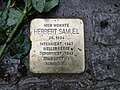 image=File:Herbert Samuel Stolperstein Dresden.JPG