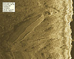 Sonar scan of the wreck of the Highfields