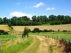 Ходент (95), chemin village n ° 10 vers le GR 11, vue sur la Côte Sucrée.jpg