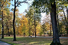 Jardín del patio en otoño