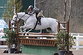 Typical turn-out for a show hunter and its rider Holsteiner-hunter.jpg