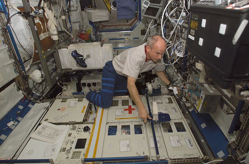 File:ISS-Expedition 13 at work.jpg