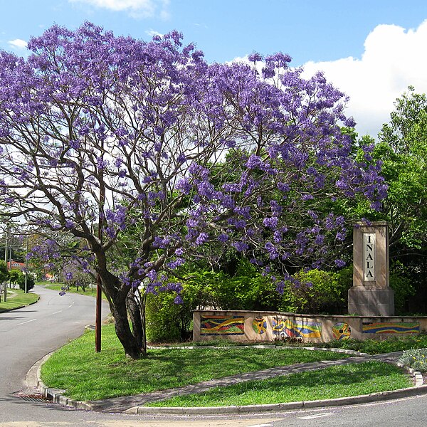 Suburb sign at Tamarind Street, Inala