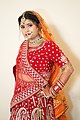 Indian UttarPradesh Brides Images (41).