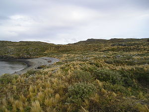 Feuerland: Geographie, Flora, Fauna