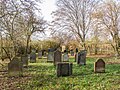 Vorschaubild für Jüdischer Friedhof (Hillesheim)