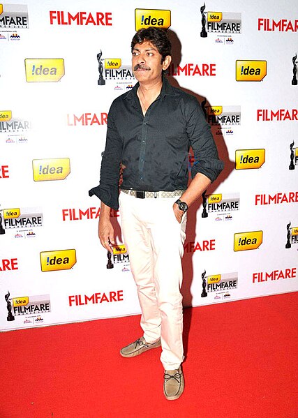 Babu at the 60th Filmfare Awards South in 2013