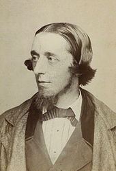 A man in profile; he has long hair, neatly combed close to his skull, and a neckbeard