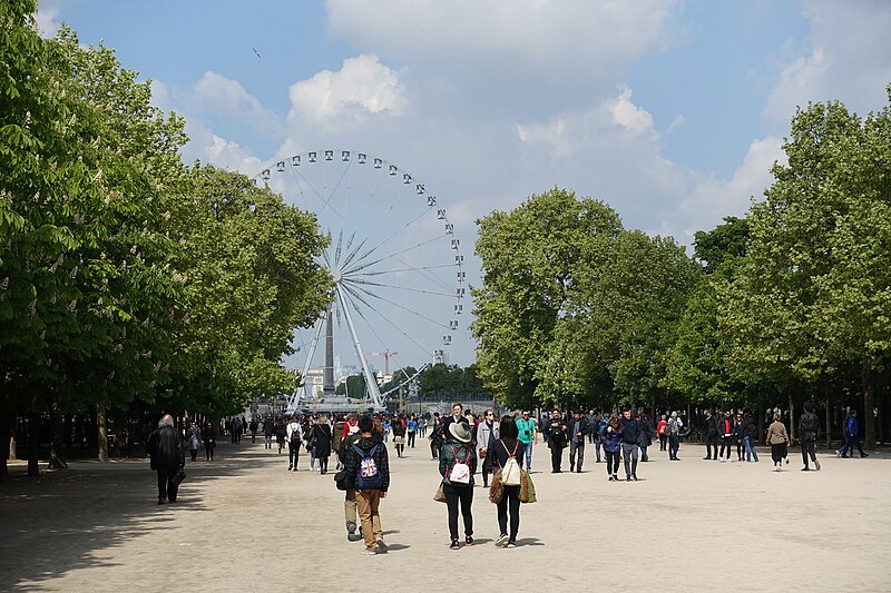 File:Jardin des Tuileries @ Paris (34214530931).jpg