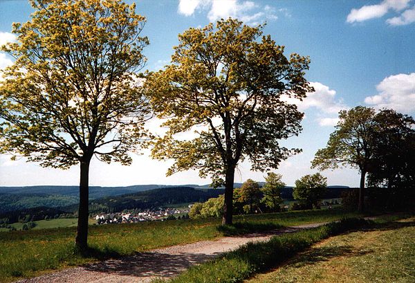 View of Breitenbrunn in the Ore Mountains, from Joachimsthaler Strasse