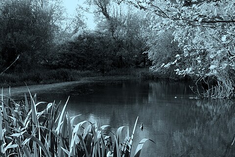 Small lake inside the reserve Jones Mill 2.jpg