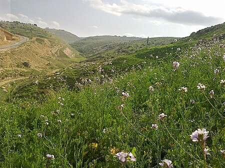 Juffain valley.jpg