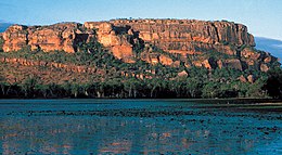 Kakadu 2488.jpg