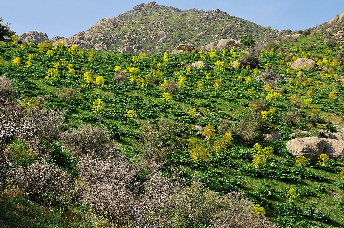 Hisar State Reserve