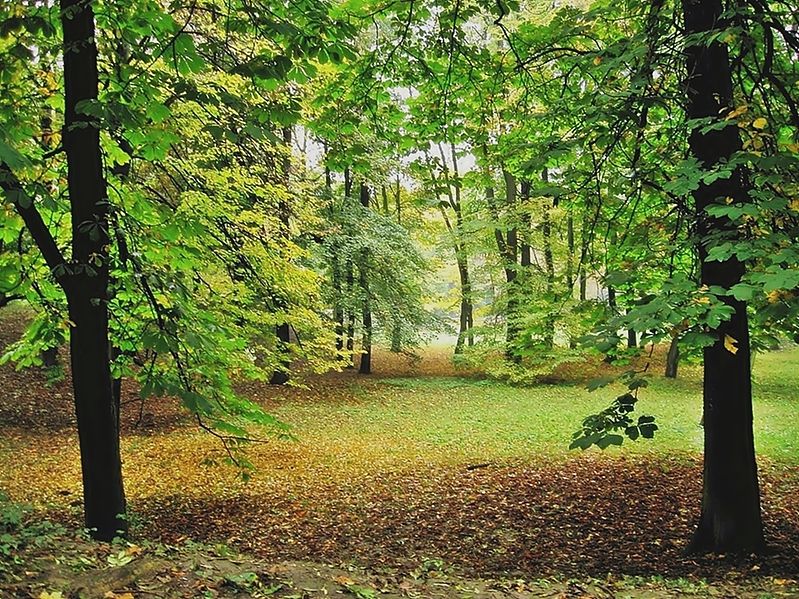 File:Kraków - park bednarskiego;;.jpg