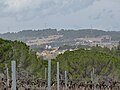 Miniatura per L'Aguilera (el Pla del Penedès)