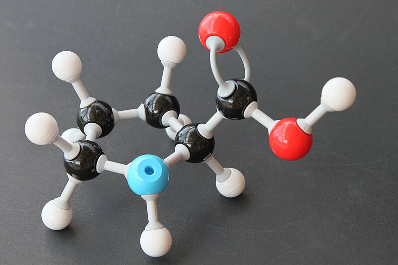 File:L-Prolin Molekülbaukasten 8713.JPG