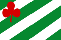 Vlag van Langezwaag