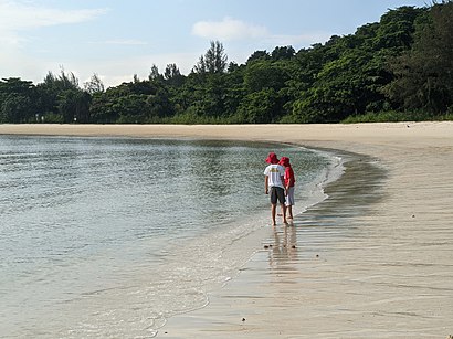 How to get to Lazarus Island with public transport- About the place