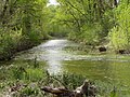 Rivière du Largue (côté Villeneuve)