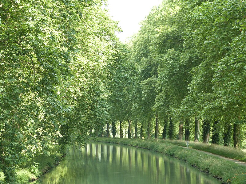 File:Le canal latéral à la Garonne.jpg