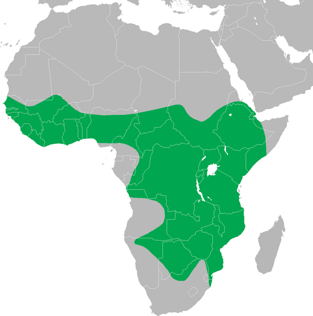 Mapa de distribución da especie.