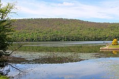 Lily Lake 2.JPG